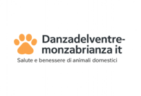 Danzadelventremonzabrianza.it